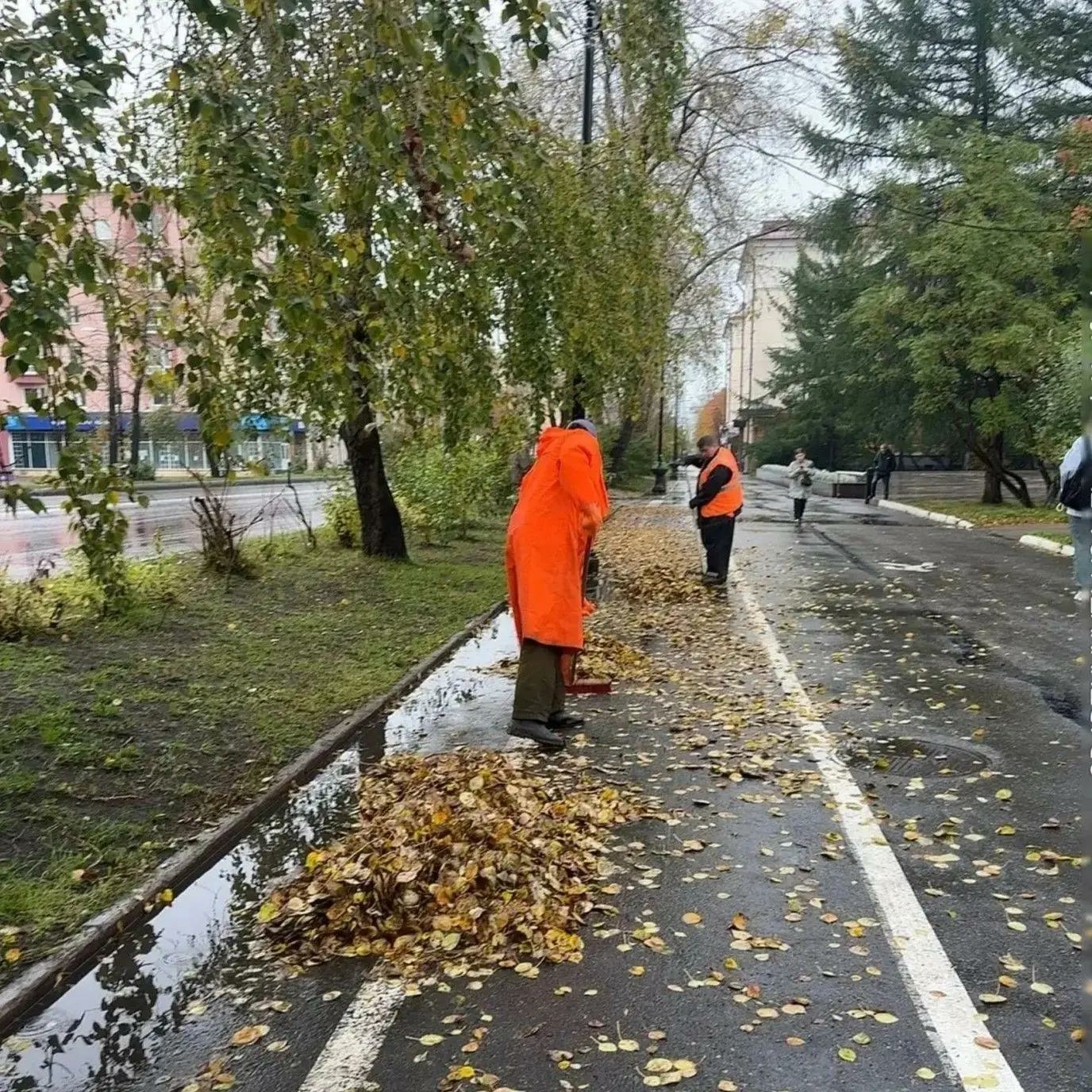 Лебедев рассказал о современных технологиях уборки листвы в Мурманске