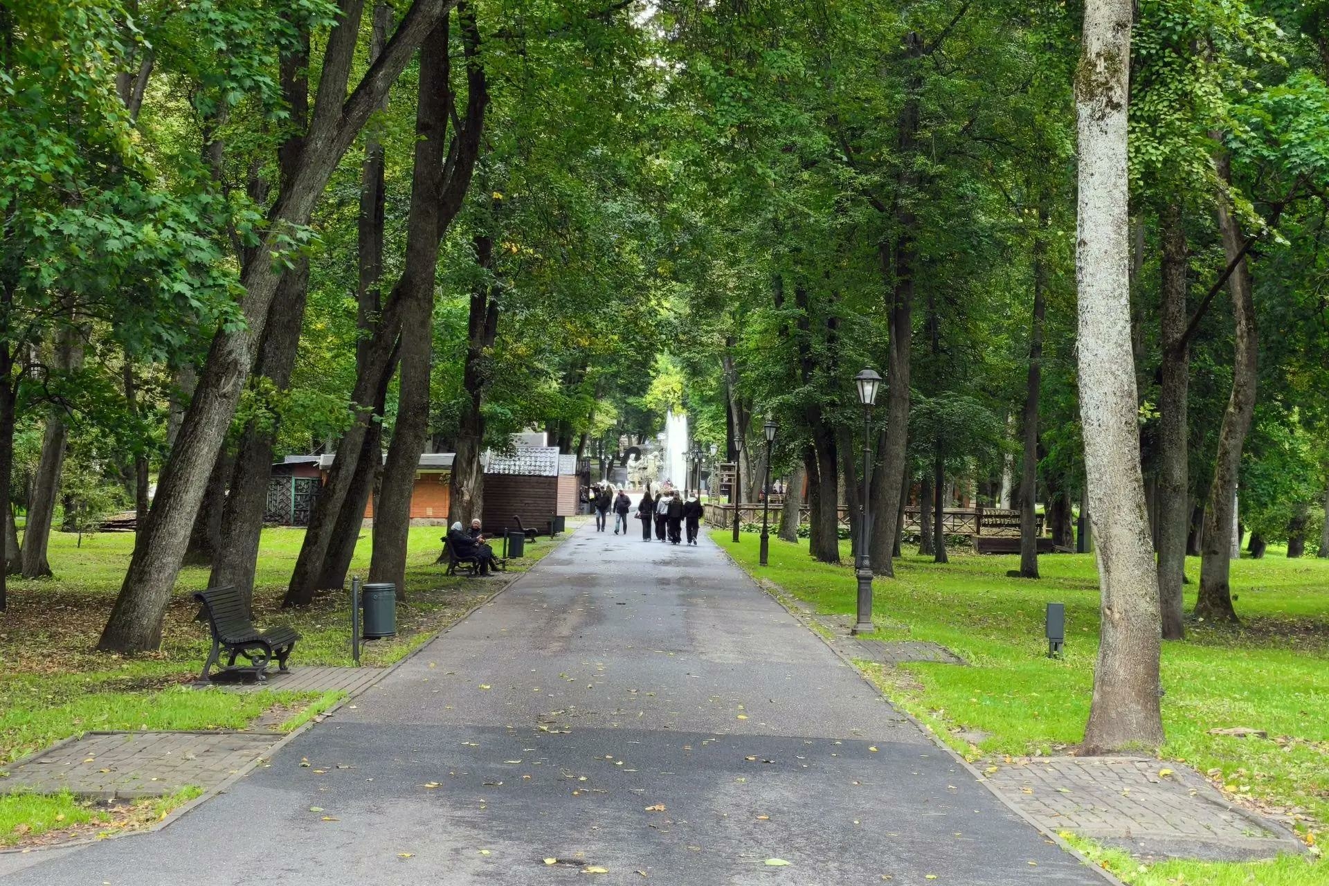Розбаум проверил строительство тротуара на улице Панкратова в Великом Новгороде