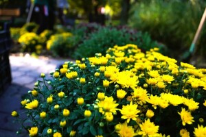 Фото