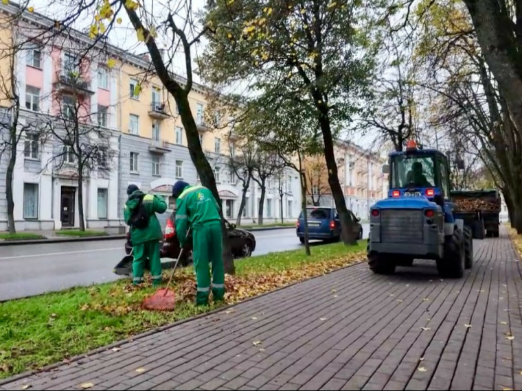 Розбаум проверил уборку улиц Великого Новгорода от опавшей листвы