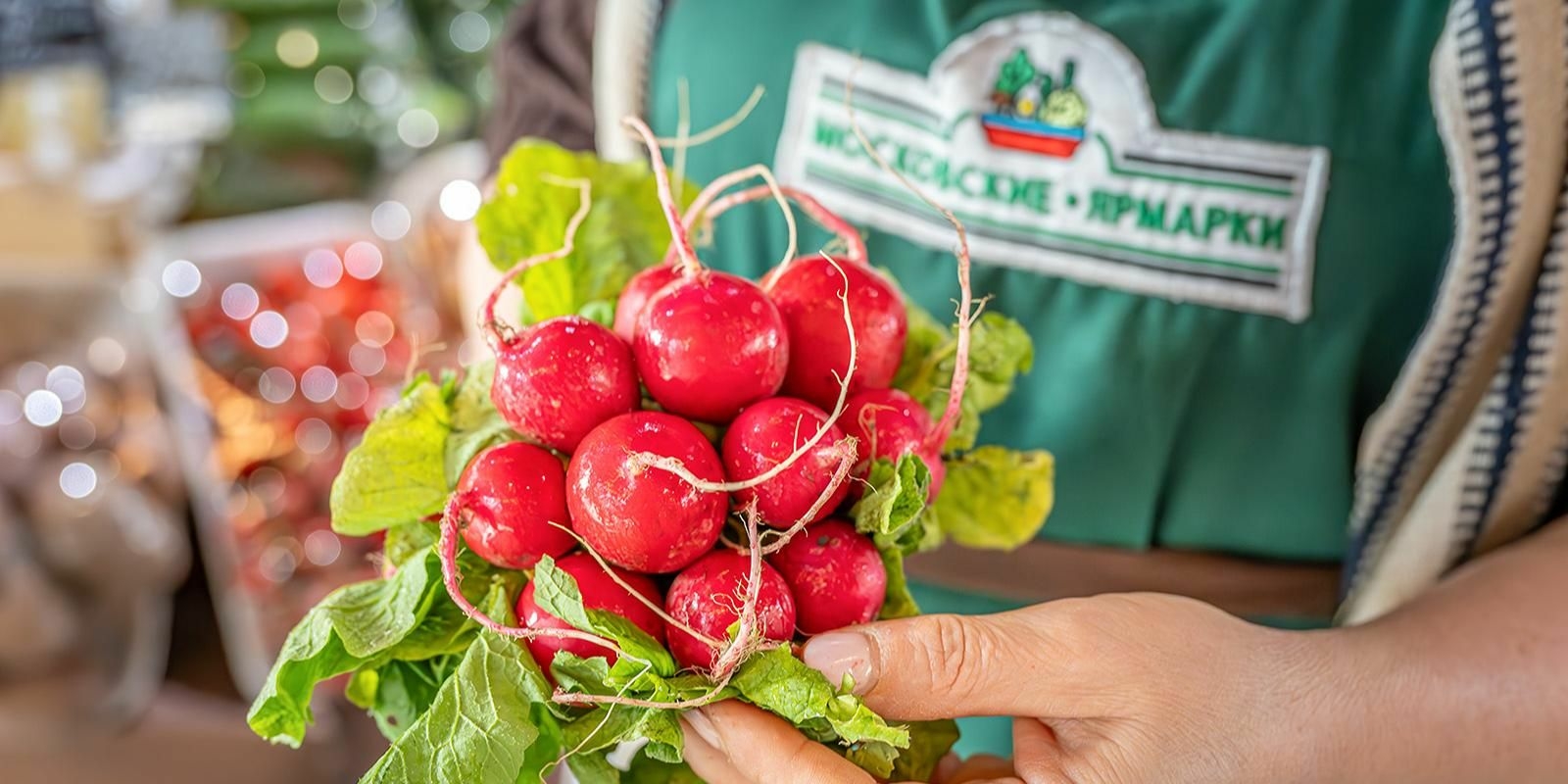 Осенний редис из пяти регионов привезли на столичные ярмарки
