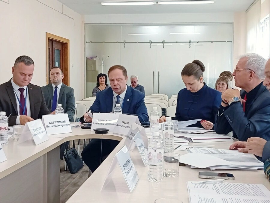 Инициативы депутатов Юга России поддержаны на заседании комитета ЮРПА по социальной политике, труду и здравоохранению